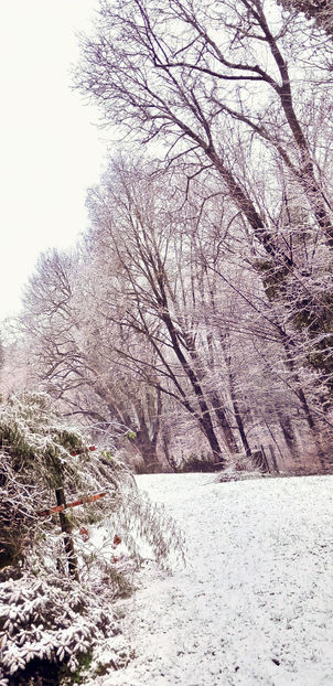  - 2024 - 04 - 2025 - 00 - Iarna