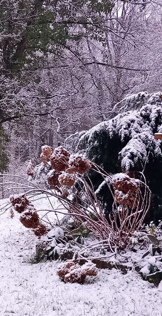  - 2024 - 04 - 2025 - 00 - Iarna