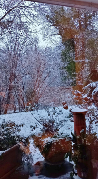  - 2024 - 04 - 2025 - 00 - Iarna