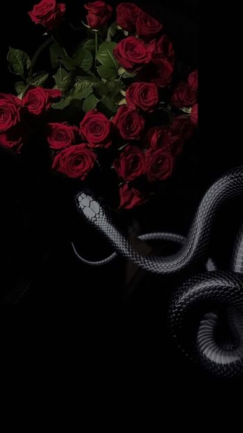  - a mess of a gorgeous chaos