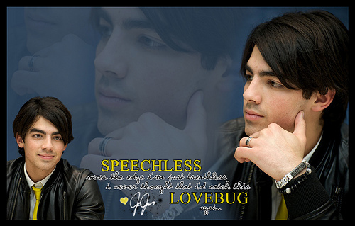 3273141535_1289073cc8 - joe jonas