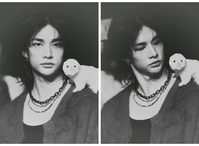 ⠀⠀⠀⠀⠀⠀ℌỴỤṆJ̣!̣Ṇ⠀ ⁽ 11ᵗʰʆan ⁾⠀ ⎯⎯⠀⠀( ˶ᵔ ᵔ) - Rough and Suave