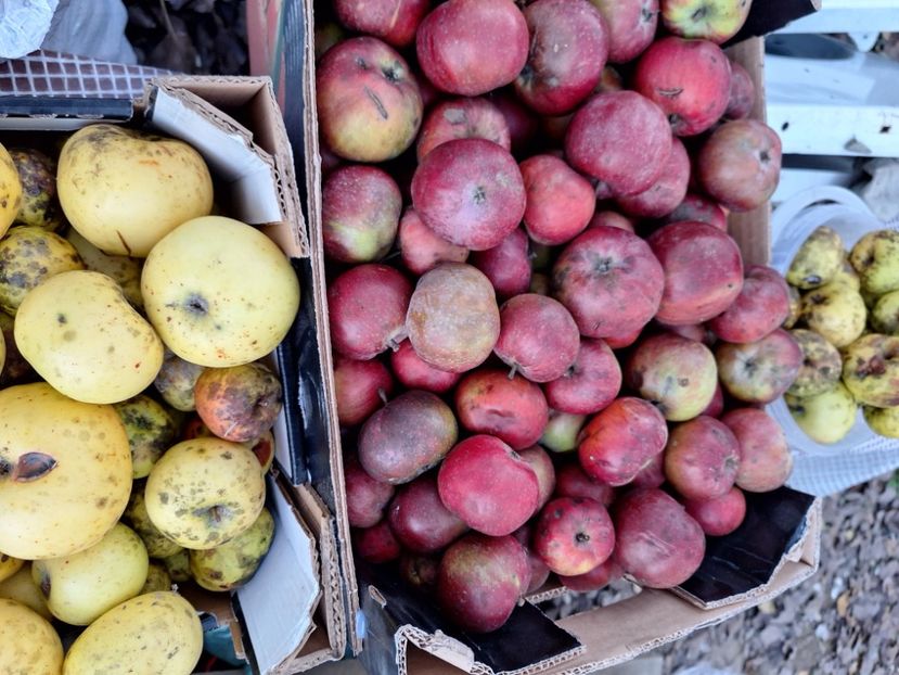  - Parte din munca din 2024