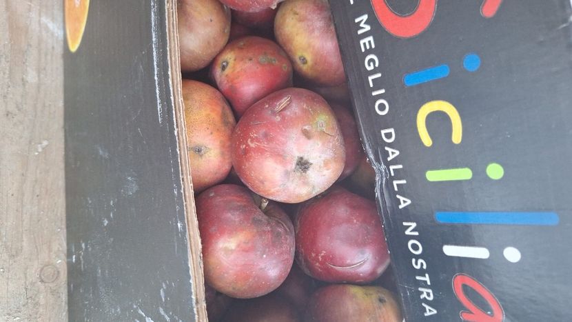  - Parte din munca din 2024