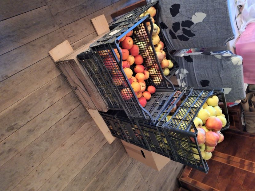  - Parte din munca din 2024