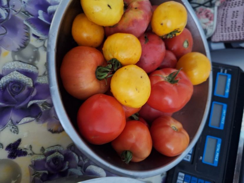  - Parte din munca din 2024