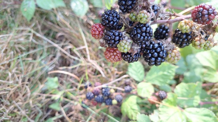  - Parte din munca din 2024