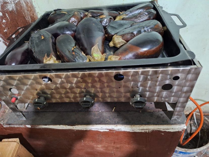  - Parte din munca din 2024