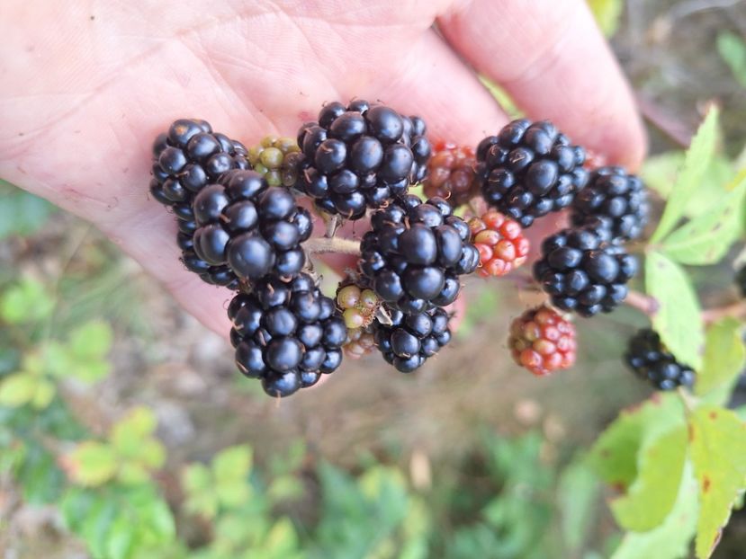  - Parte din munca din 2024