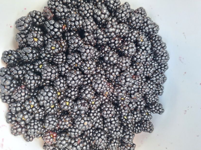  - Parte din munca din 2024