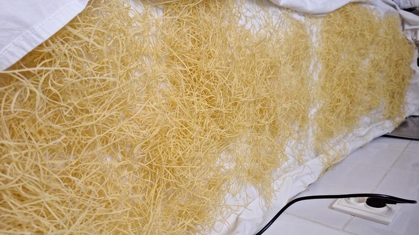  - Parte din munca din 2024