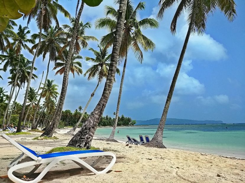 Beautiful Dominican Rep 1 - --- DOMINICAN REPUBLIC