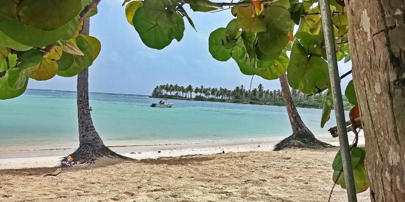 Beautiful Dominican Rep 2 - --- DOMINICAN REPUBLIC