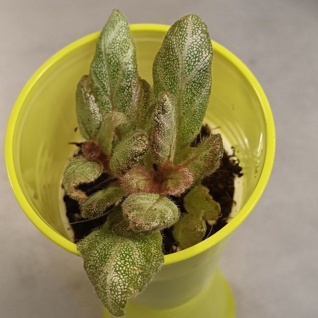 Nu se hotaraste ce straie sa poarte... ;) - Uniqua