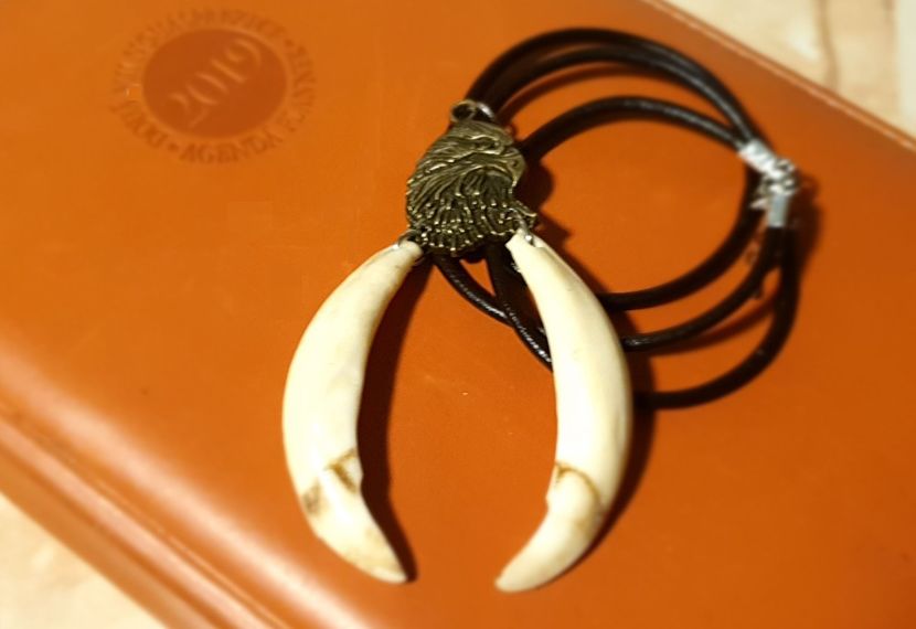 A2 - Medalioane cu colti reali