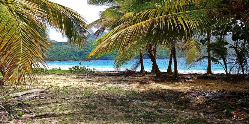 Beautiful Dominican Rep 4 - --- DOMINICAN REPUBLIC