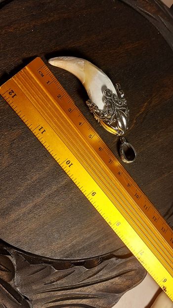  - Medalioane cu colti reali