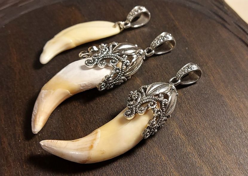  - Medalioane cu colti reali