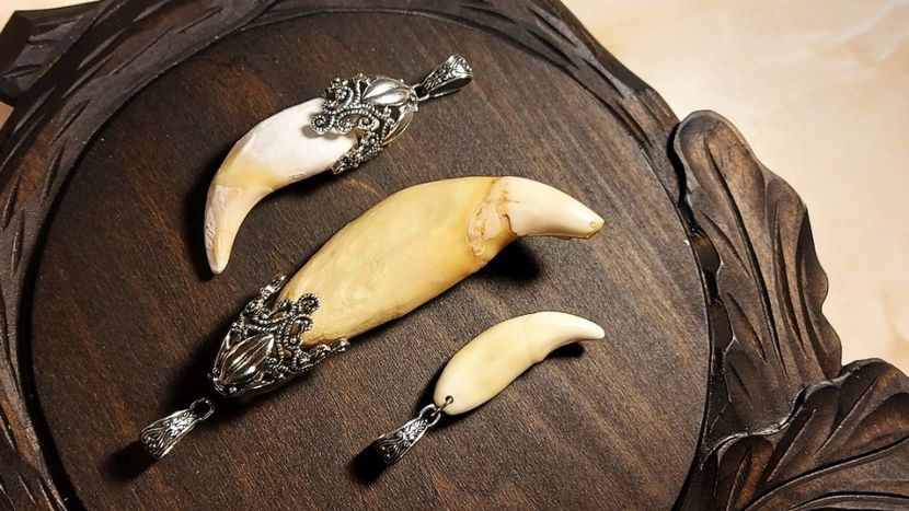  - Medalioane cu colti reali