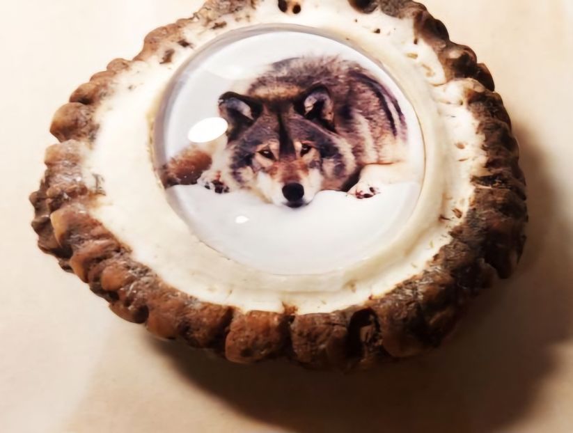 IMG-20240502-WA0004 - Medalioane cu colti reali