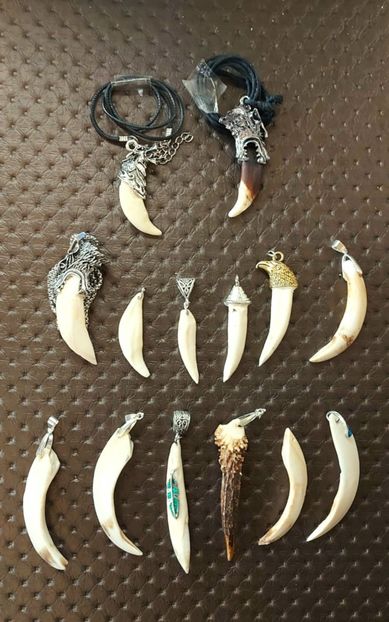 Medalion cu colti de lup - Medalioane cu colti reali