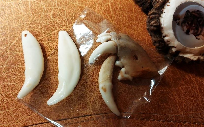 A14 - Medalioane cu colti reali