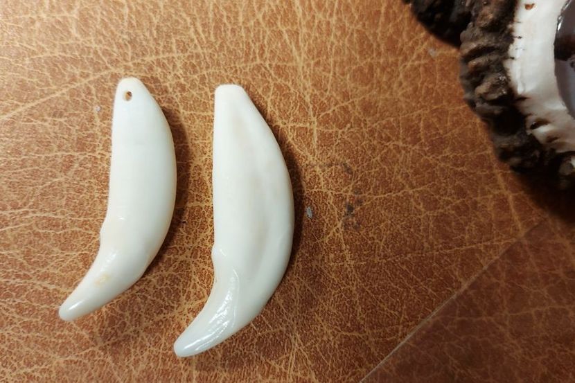 A15 - Medalioane cu colti reali