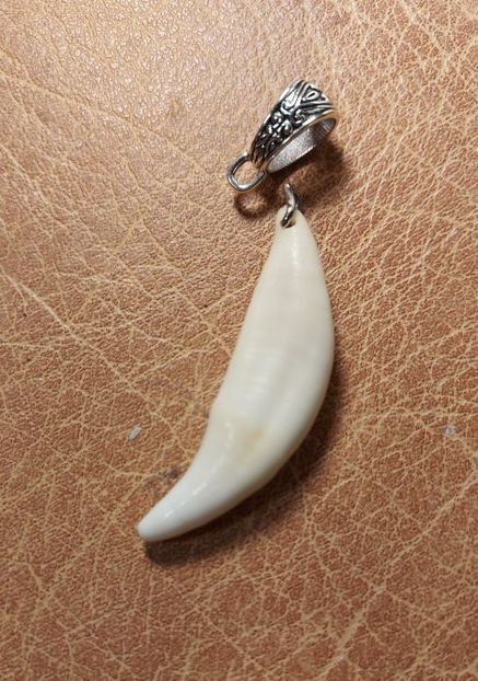 A17 - Medalioane cu colti reali