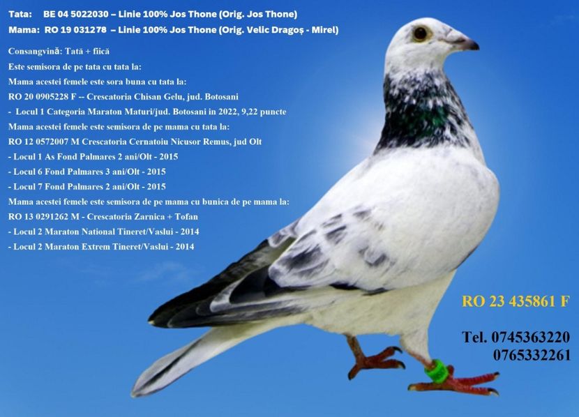 RO 23 435861 F REZERVATA GAITAN DUMITRU - ARHIVA