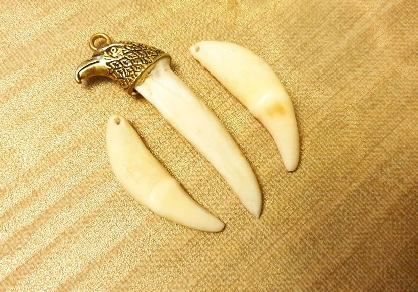 Bonus - Medalioane cu colti reali