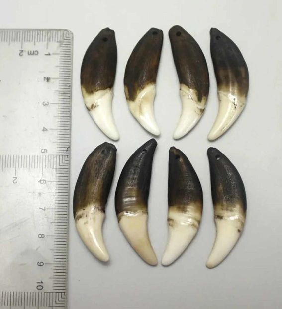 J - Medalioane cu colti reali