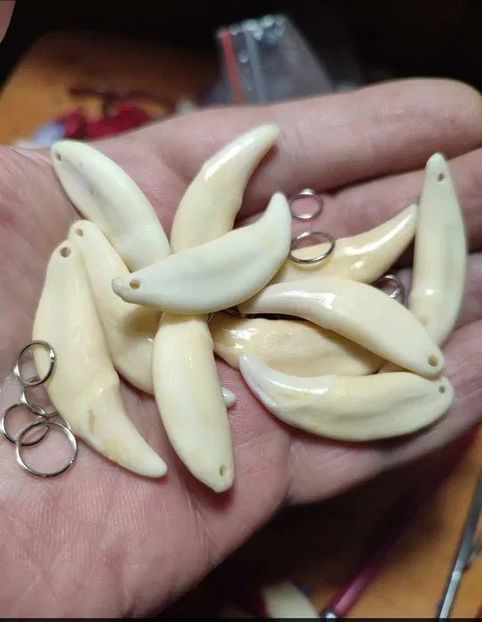 K2 - Medalioane cu colti reali