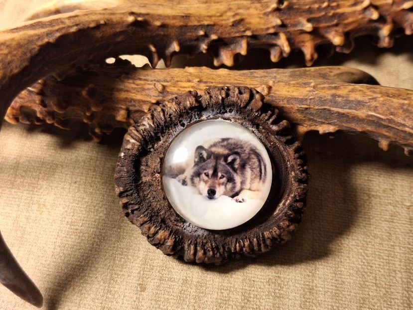 M0 - Medalioane cu colti reali