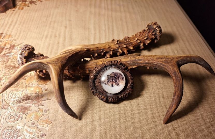 M1 - Medalioane cu colti reali