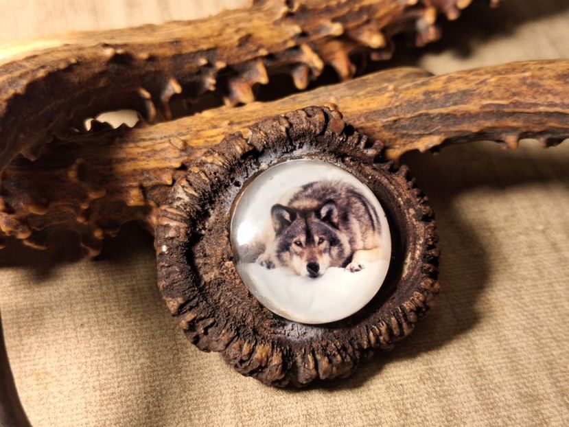 M2 - Medalioane cu colti reali