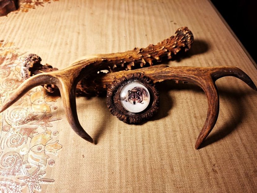 M4 - Medalioane cu colti reali