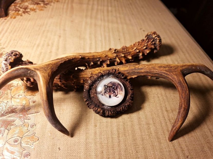 M5 - Medalioane cu colti reali