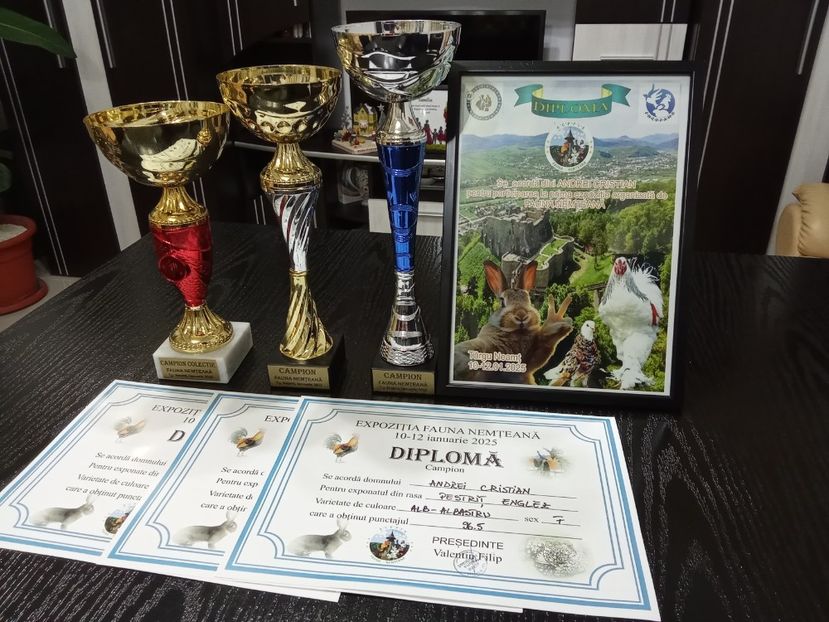  - 0 - REZ EXPO TG NEAMȚ IAN 2025