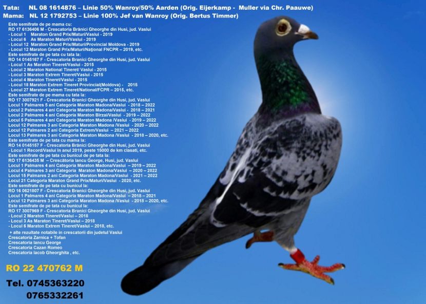 RO 22 470762 M  REZERVAT BUZAU 2 - ARHIVA