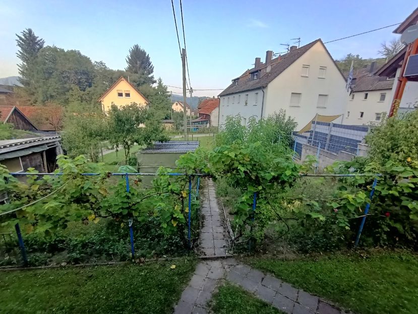 Img.2024.08.31 - A doua grădină 2