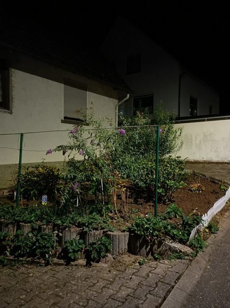 Img.2024.09.20 - A doua grădină 2