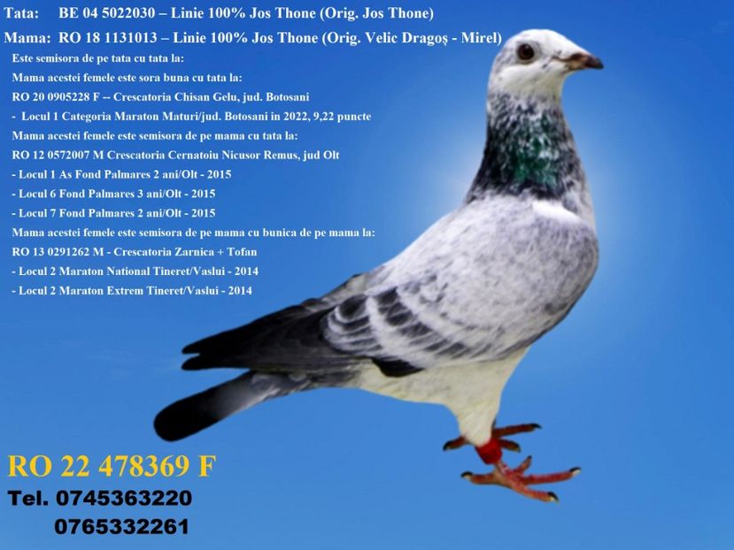 RO 22 478369 F REZERVATĂ GHINEA AUREL PRAHOVA 200 Lei + transportul - ARHIVA