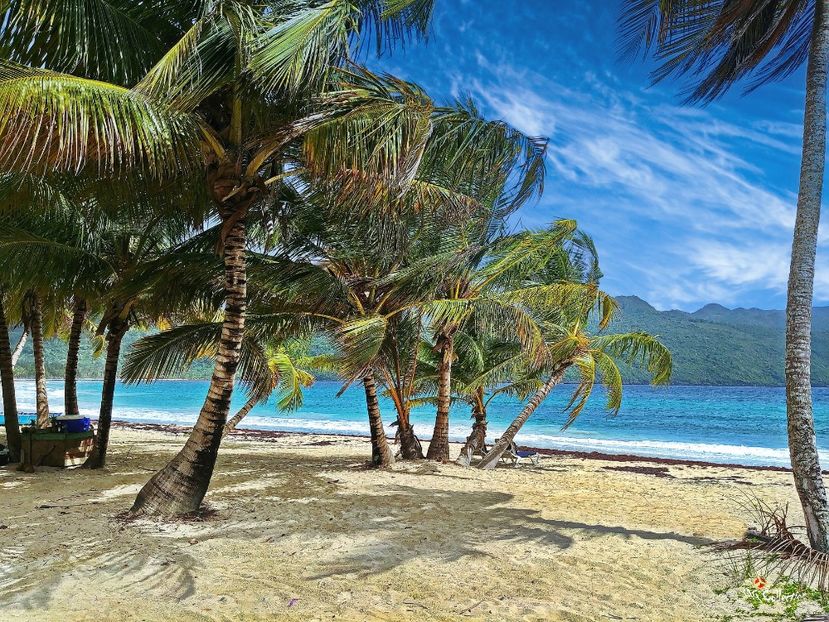 Beautiful Dominican Rep 5 - --- DOMINICAN REPUBLIC
