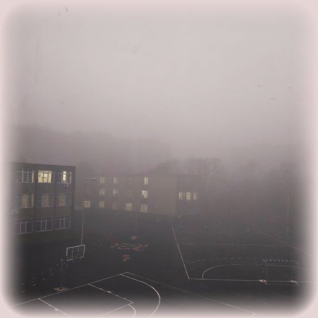 ♡ Day 61 ; 14.01.2025 - Birds of a Feather - STREAK