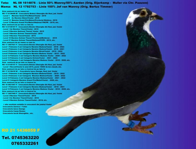 RO 21 1436059 F REZERVATA BUZAU 2 - ARHIVA