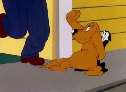 Fresh Airedale - 1945 - Fresh Airedale