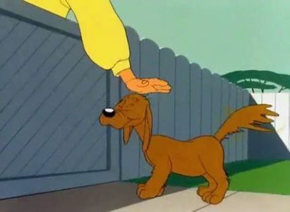Fresh Airedale - 1945 - Fresh Airedale