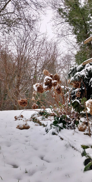  - 2024 - 04 - 2025 - 00 - Iarna