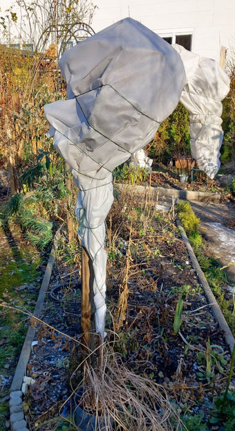  - 2024 - 04 - 2025 - 00 - Iarna