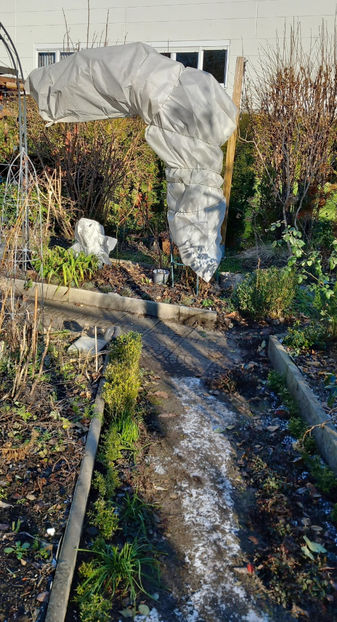 Ger aspru si uscat. - 2024 - 04 - 2025 - 00 - Iarna